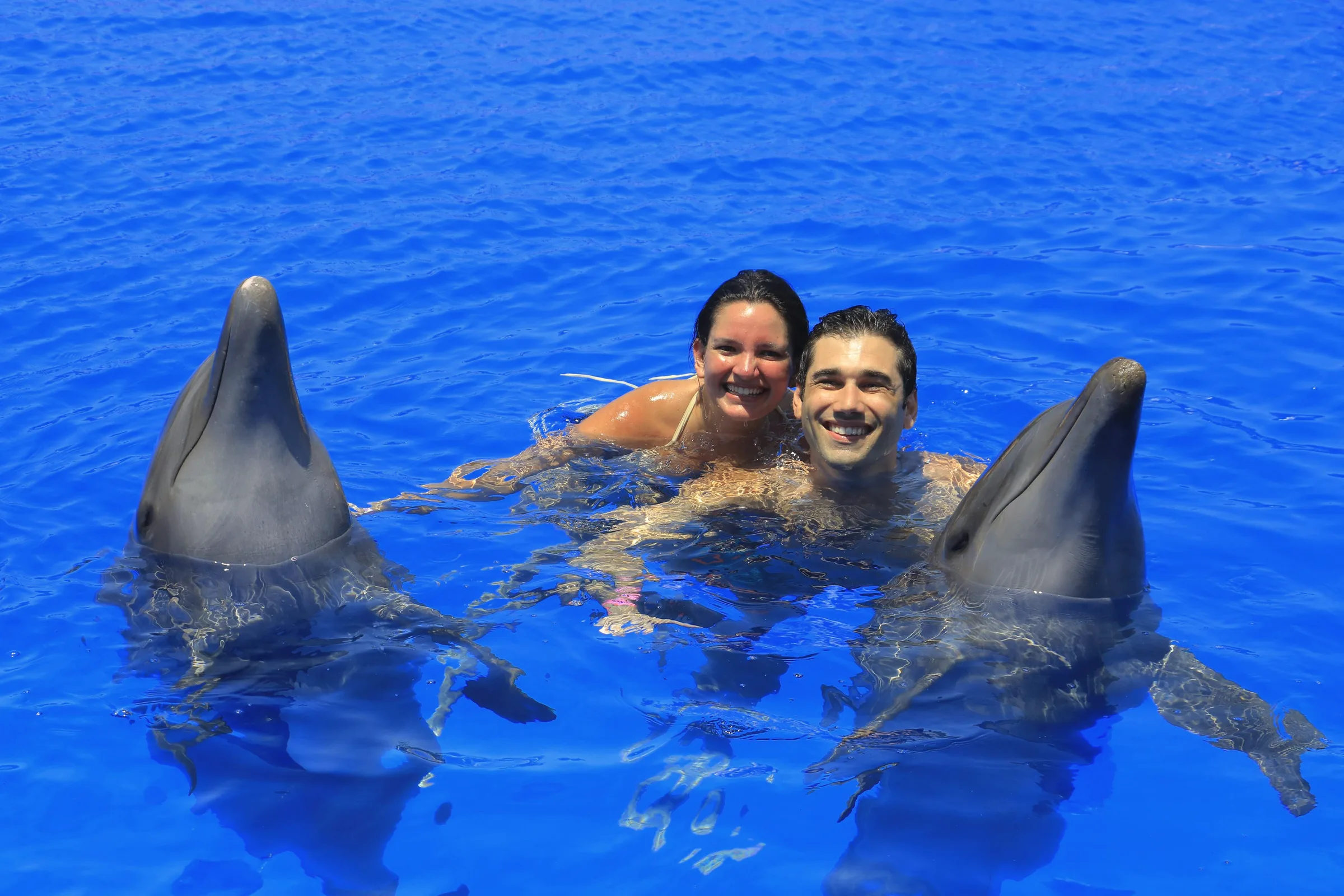 Carmela and Charlie in bright blue water with a dolphin on either side of them