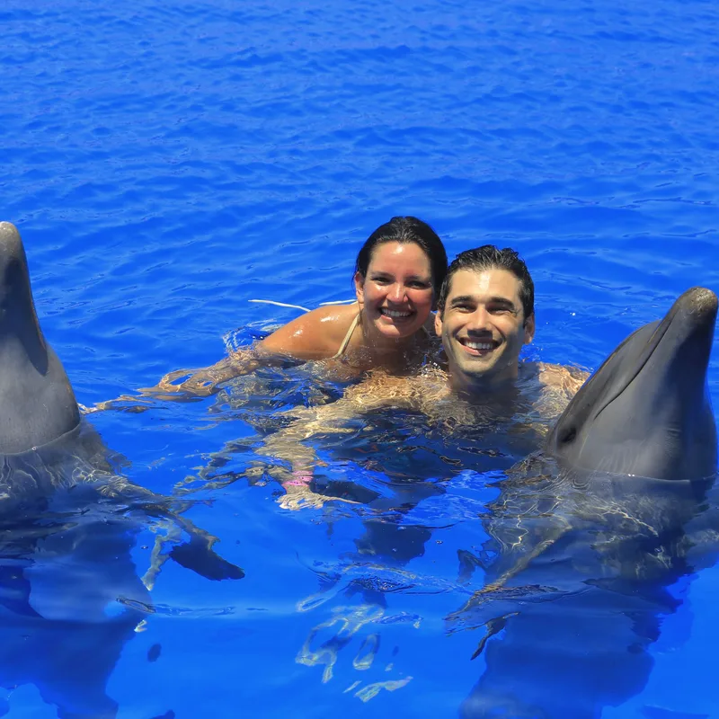 Carmela and Charlie smiling in bright blue water, a dolphin on either side of them