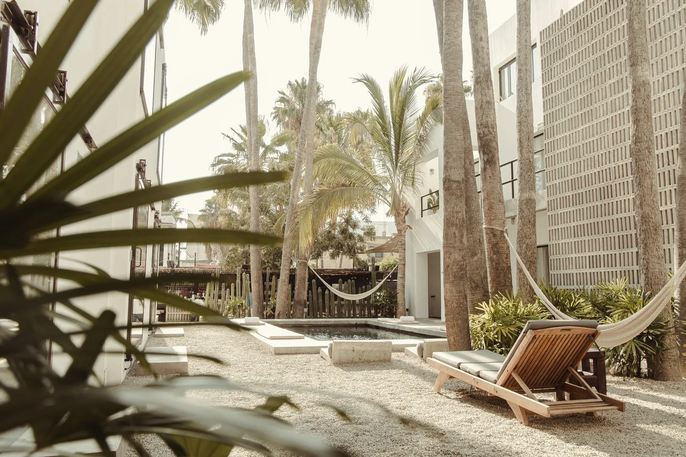 Garden courtyard with tall palms, a wooden lounger, a hammock and a low plunge pool, beside white buildings and a block screen wall.