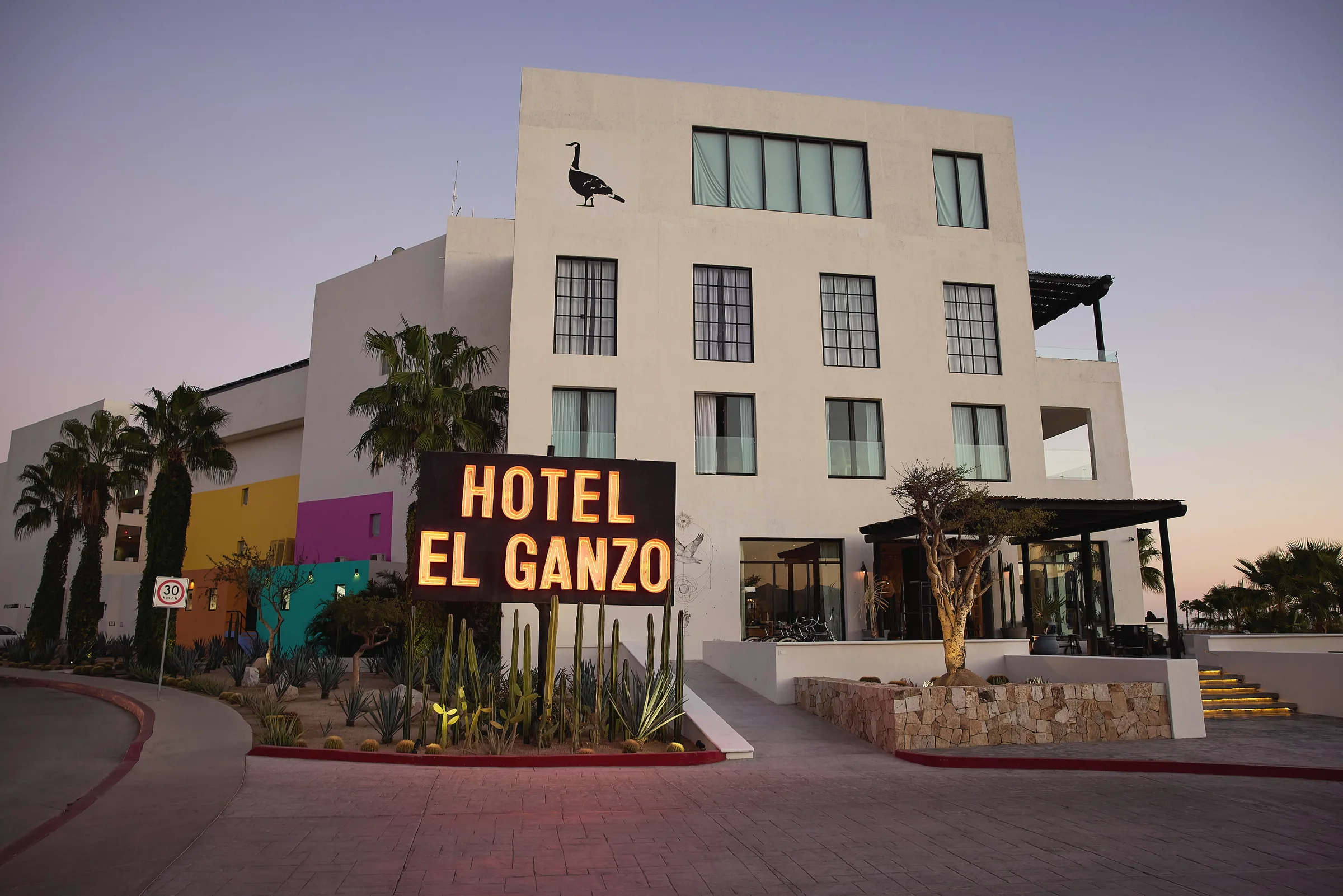 Hotel El Ganzo at dusk: a white building with a glowing "Hotel El Ganzo" sign, cacti out front and colorful walls to one side