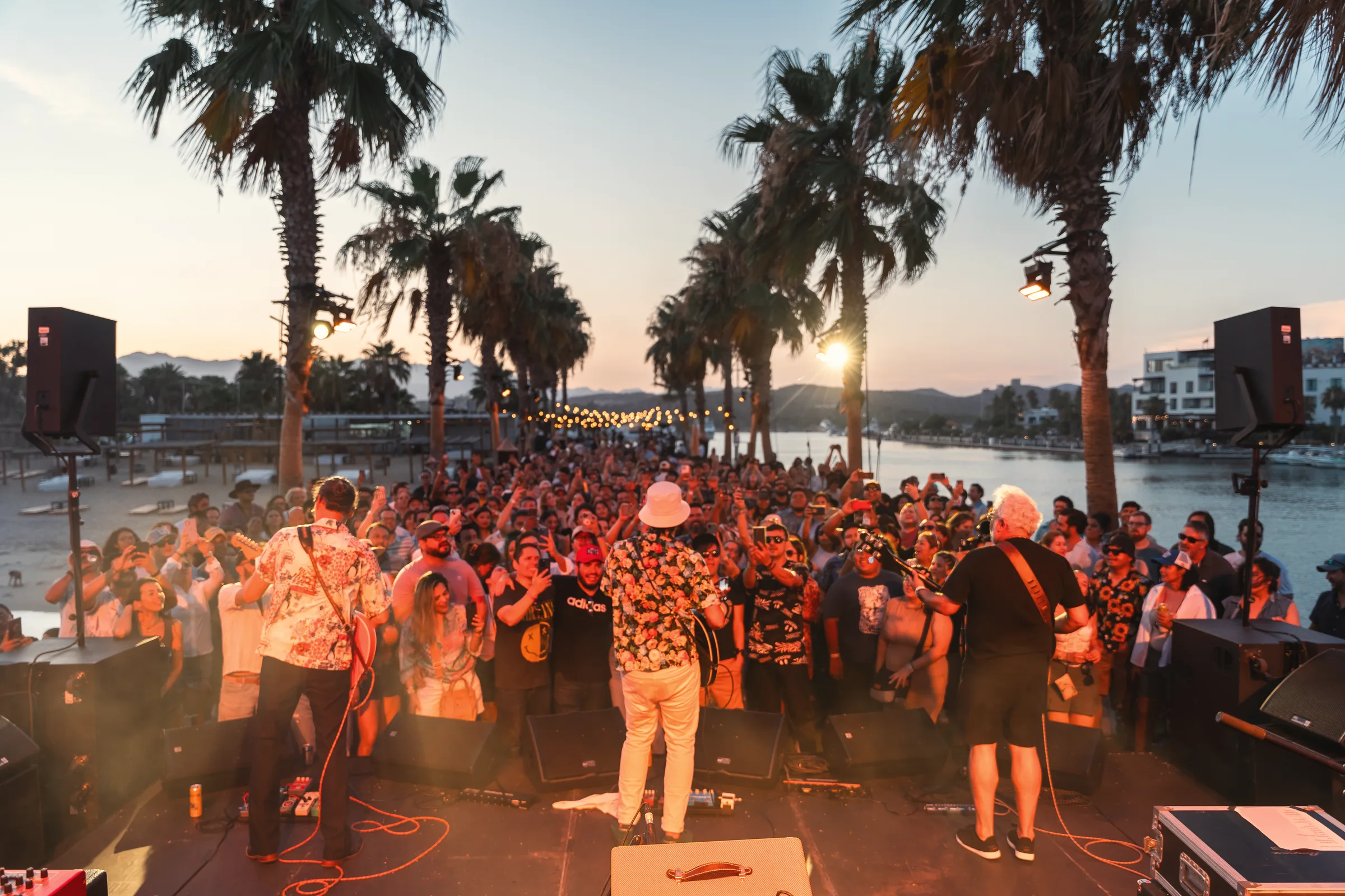 A live band on stage, seen from behind, playing to a crowd at sunset on a palm-lined waterfront.